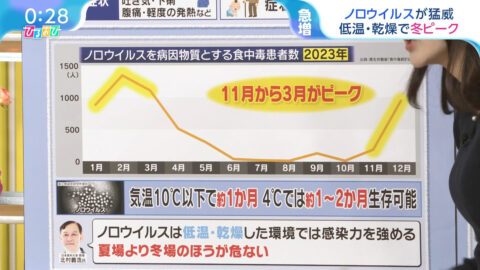 若林有子_ひるおび_20250225_015