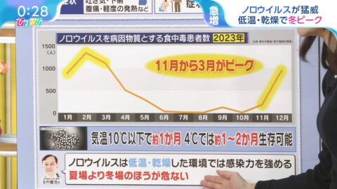 若林有子_ひるおび_20250225_014