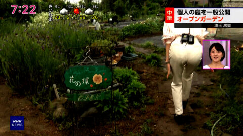大谷舞風_NHKニュース おはよう日本_20250518_018
