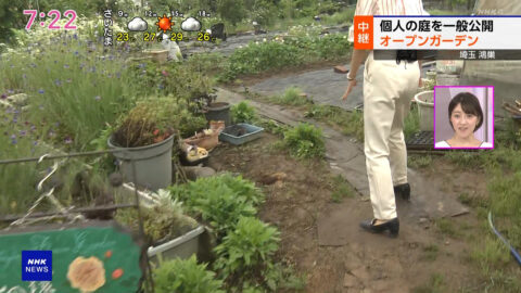 大谷舞風_NHKニュース おはよう日本_20250518_023