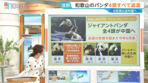 佐々木舞音_ひるおび_20250425_001
