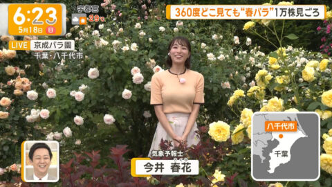今井春花_グッド!モーニング_20250518_001