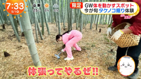 林佑香_めざましテレビ_20250501_035