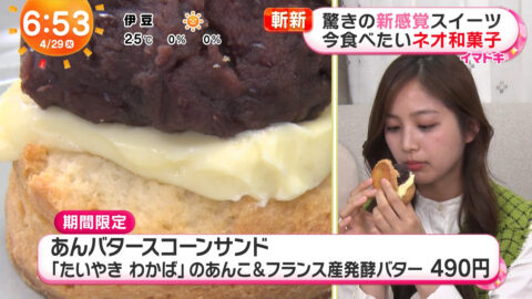 糸瀬七葉_めざましテレビ_20250429_024