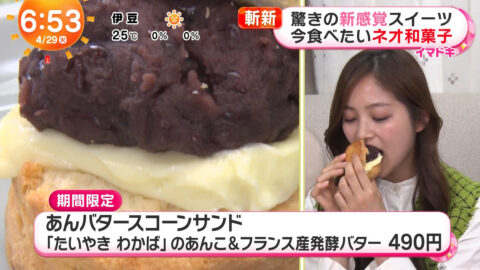 糸瀬七葉_めざましテレビ_20250429_020