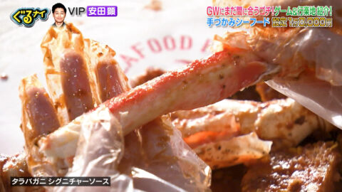 白石麻衣_ぐるぐるナインティナイン_20250501_002