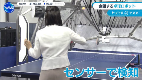 嶺百花_ワールドビジネスサテライト_20250522_015
