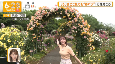 今井春花_グッド!モーニング_20250518_012