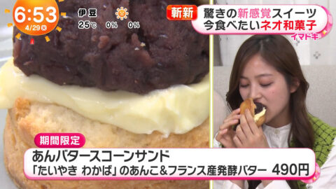 糸瀬七葉_めざましテレビ_20250429_022