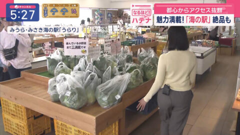 福嶋舞_スーパーJチャンネル_20250501_014