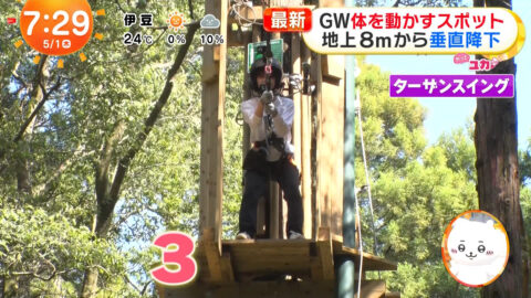 林佑香_めざましテレビ_20250501_010
