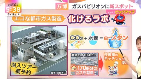 大仁田美咲_newsおかえり_20250519_012