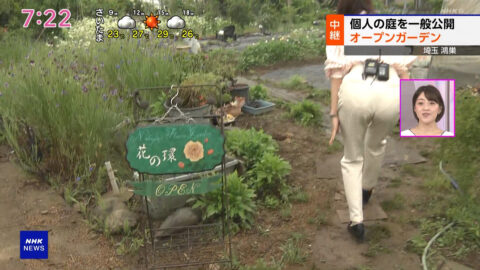 大谷舞風_NHKニュース おはよう日本_20250518_019