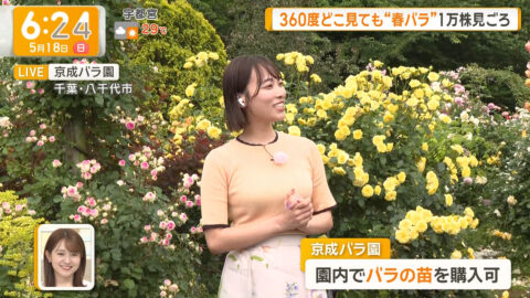 今井春花_グッド!モーニング_20250518_015