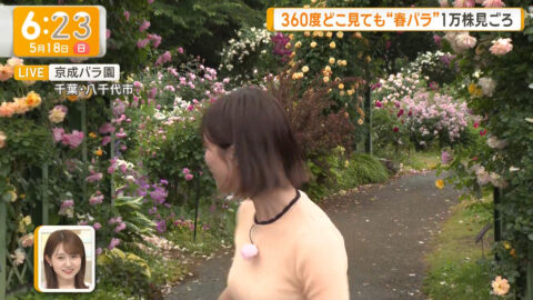 今井春花_グッド!モーニング_20250518_011