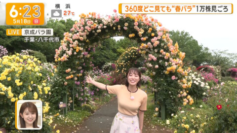 今井春花_グッド!モーニング_20250518_013