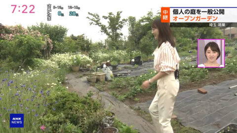 大谷舞風_NHKニュース おはよう日本_20250518_027