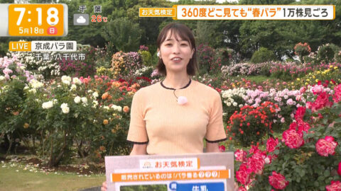 今井春花_グッド!モーニング_20250518_031