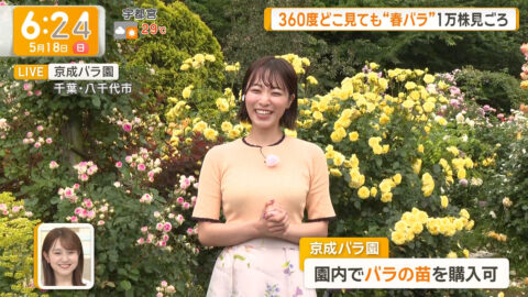 今井春花_グッド!モーニング_20250518_016