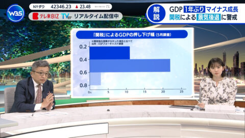 田中瞳_ワールドビジネスサテライト_20250516_009