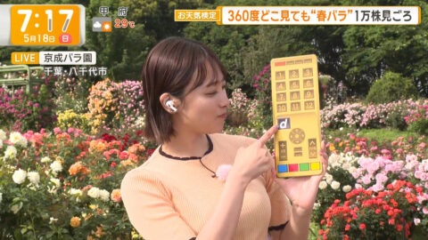 今井春花_グッド!モーニング_20250518_024