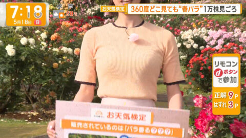 今井春花_グッド!モーニング_20250518_032