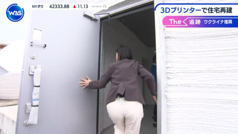 田中瞳_ワールドビジネスサテライト_20250516_025