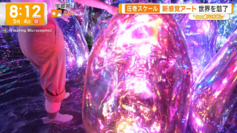 三山賀子_グッド!モーニング_20250504_042