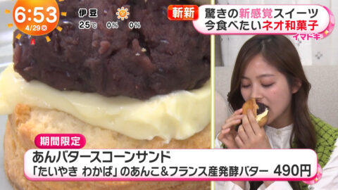 糸瀬七葉_めざましテレビ_20250429_021