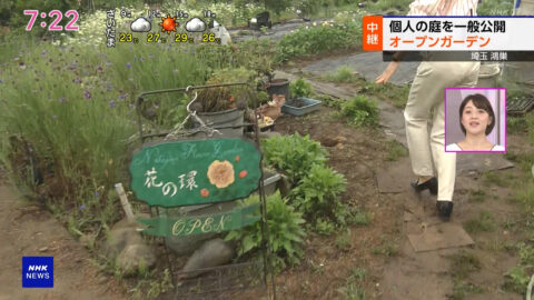 大谷舞風_NHKニュース おはよう日本_20250518_021