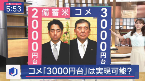 森山みなみ_スーパーJチャンネル_20250523_012