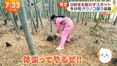 林佑香_めざましテレビ_20250501_036