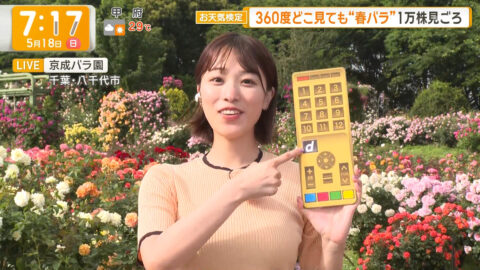 今井春花_グッド!モーニング_20250518_025