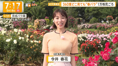 今井春花_グッド!モーニング_20250518_021