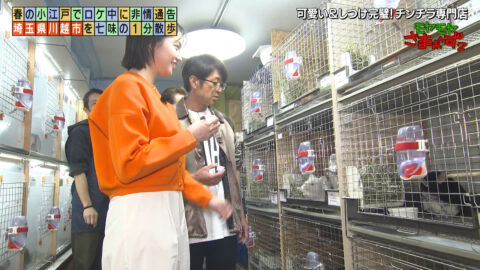 田中瞳_モヤモヤさまぁ～ず2_20250510_001