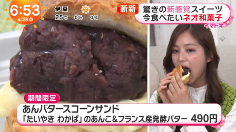 糸瀬七葉_めざましテレビ_20250429_019