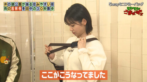 田中瞳_モヤモヤさまぁ～ず2_20250426_014