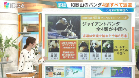 佐々木舞音_ひるおび_20250425_003