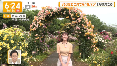 今井春花_グッド!モーニング_20250518_014