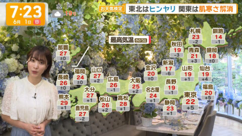 今井春花_グッド!モーニング_20250601_033