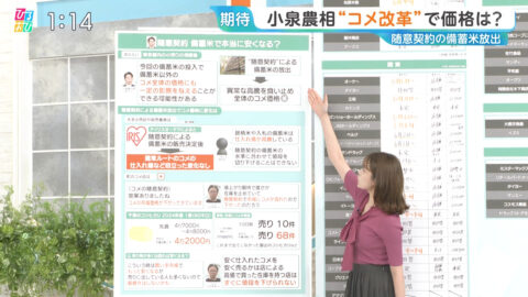 良原安美_ひるおび_20250603_005