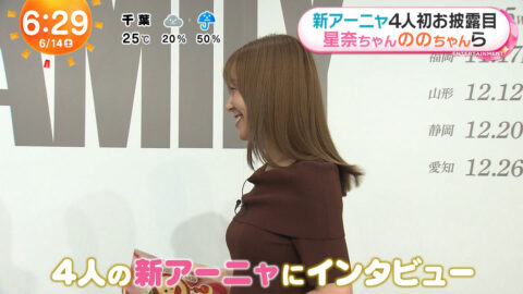 阿部華也子_めざましどようび_20250614_002