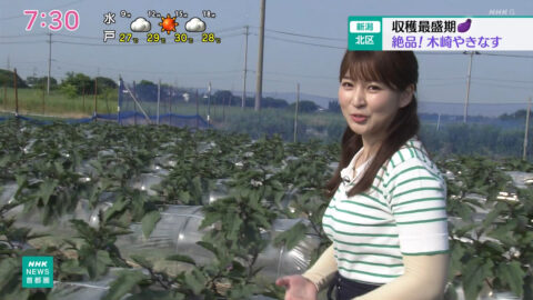 山下佳織_NHKニュース おはよう日本(関東甲信越)_20250621_008