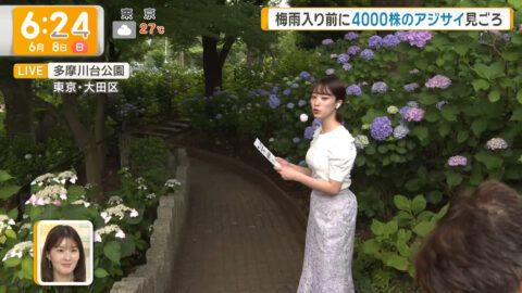 今井春花_グッド!モーニング_20250608_006