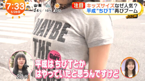 一般_めざましテレビ_20250528_046