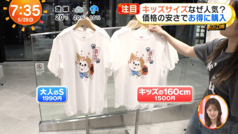一般_めざましテレビ_20250528_055