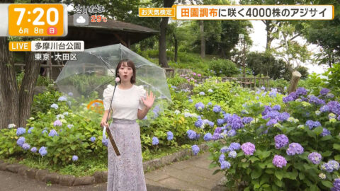 今井春花_グッド!モーニング_20250608_026