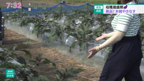 山下佳織_NHKニュース おはよう日本(関東甲信越)_20250621_018