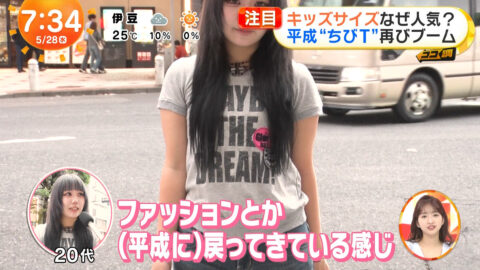 一般_めざましテレビ_20250528_049