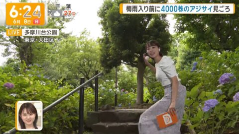今井春花_グッド!モーニング_20250608_009